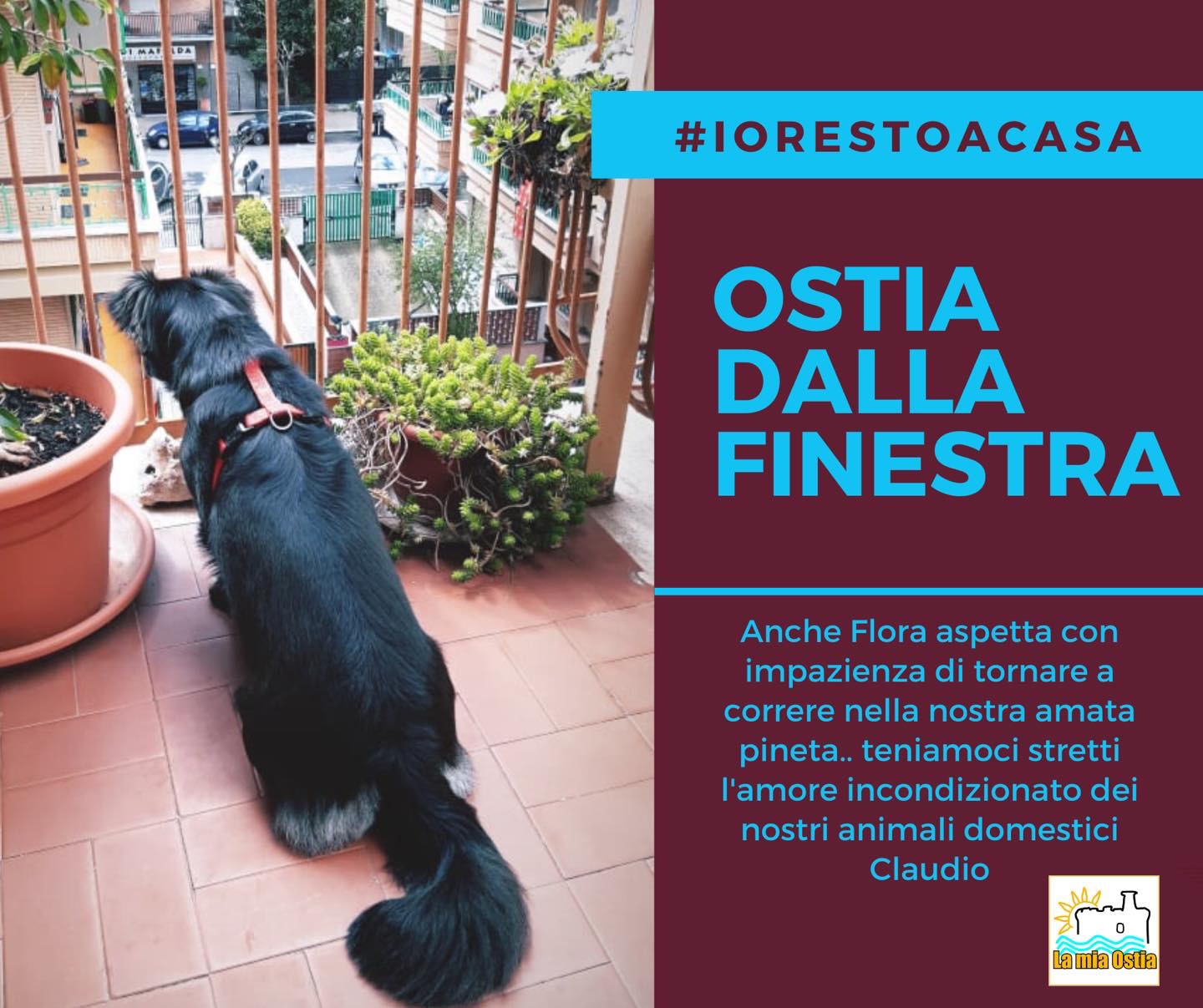 Ostia dalla finestra: mese di aprile